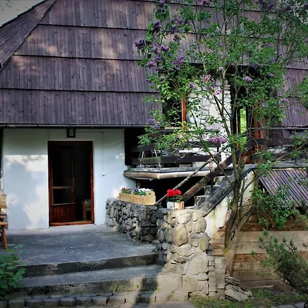 Willa Gawra Zakopane Exterior photo