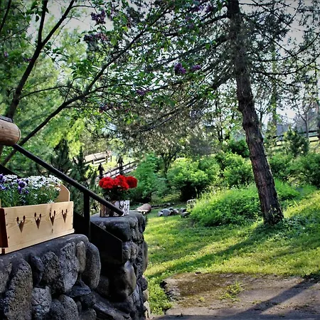 Willa Gawra Zakopane Exterior photo